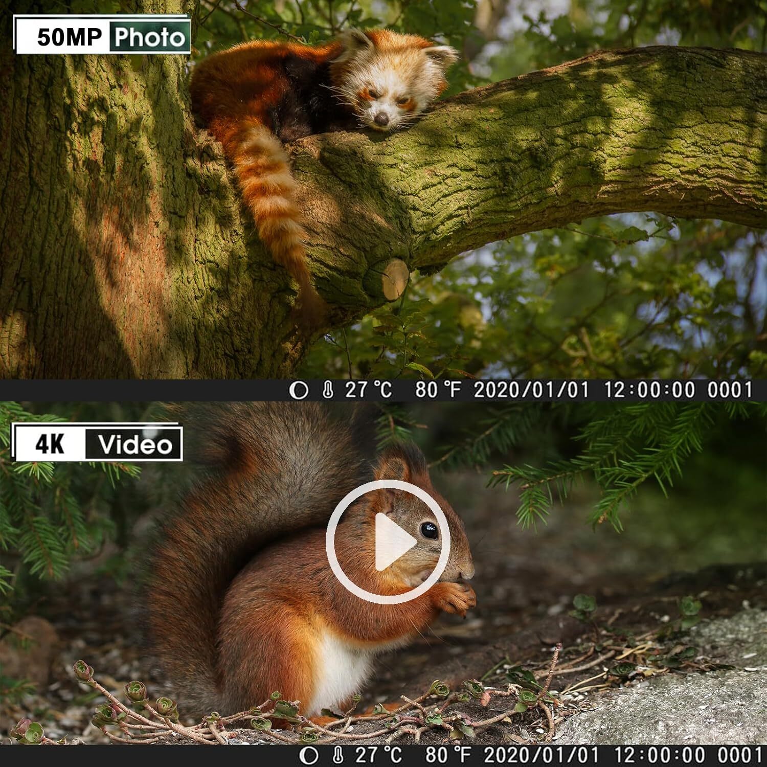 50MP Wildlife Hunting Game Trail Camera 4K Night Vision Motion Activated+32GB