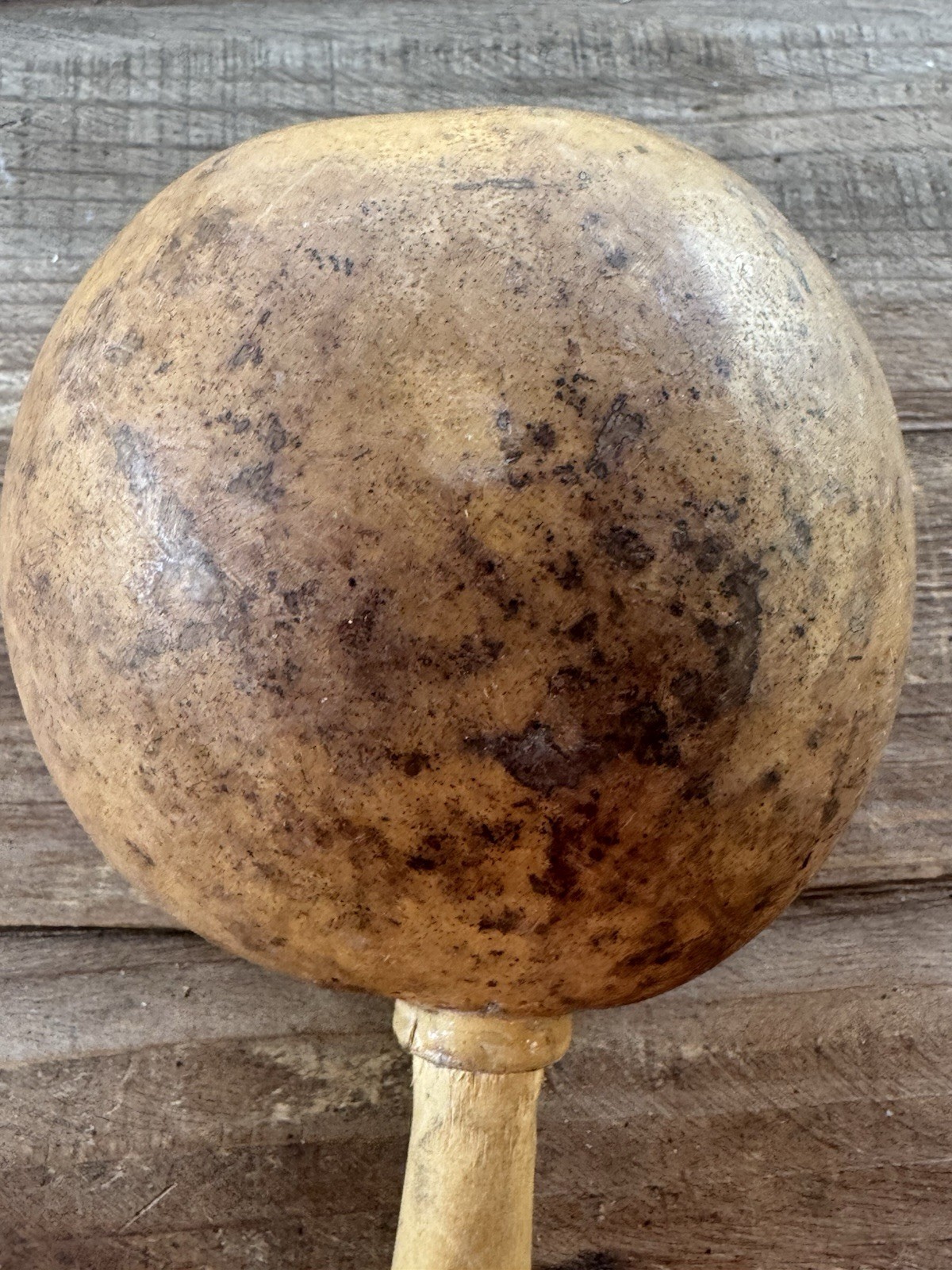 Vintage Decorated Gourd Rattle Turtle Design Folk Art Handcrafted