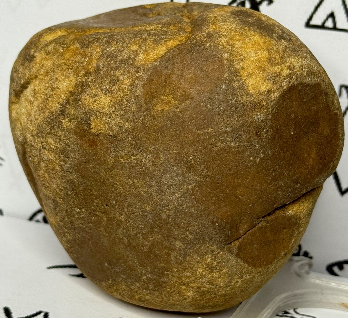 Native American Indian Authentic Artifact Stone Carved Effigy, 1 lb 10 oz • VA