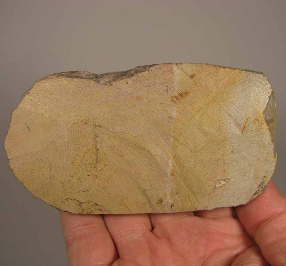 3.4" Crotalocephalus Gibbus TRILOBITE Fossil on Matrix - Devonian Age - Morocco