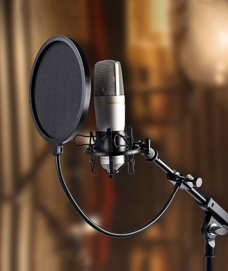 5" Microphone Wind Screen Mask Gooseneck Filter Studio Tool Double Layer Screen