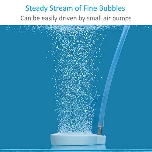 2 Inch Fine Bubble Air Diffuser Stone Disc for Air Pump Aquarium Fish Tank