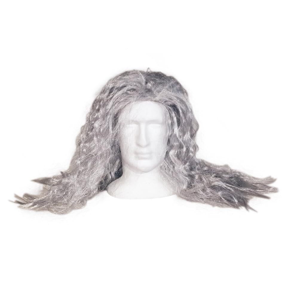 Wizard Wig Costume with Beard Included - One Size Fits All - Grey Color with ...