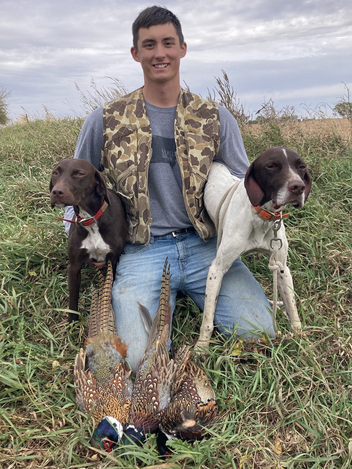 Rooster RINGNECK PHEASANT Full SKIN 2 Wings Tail Feathers Wall Art Man Cave