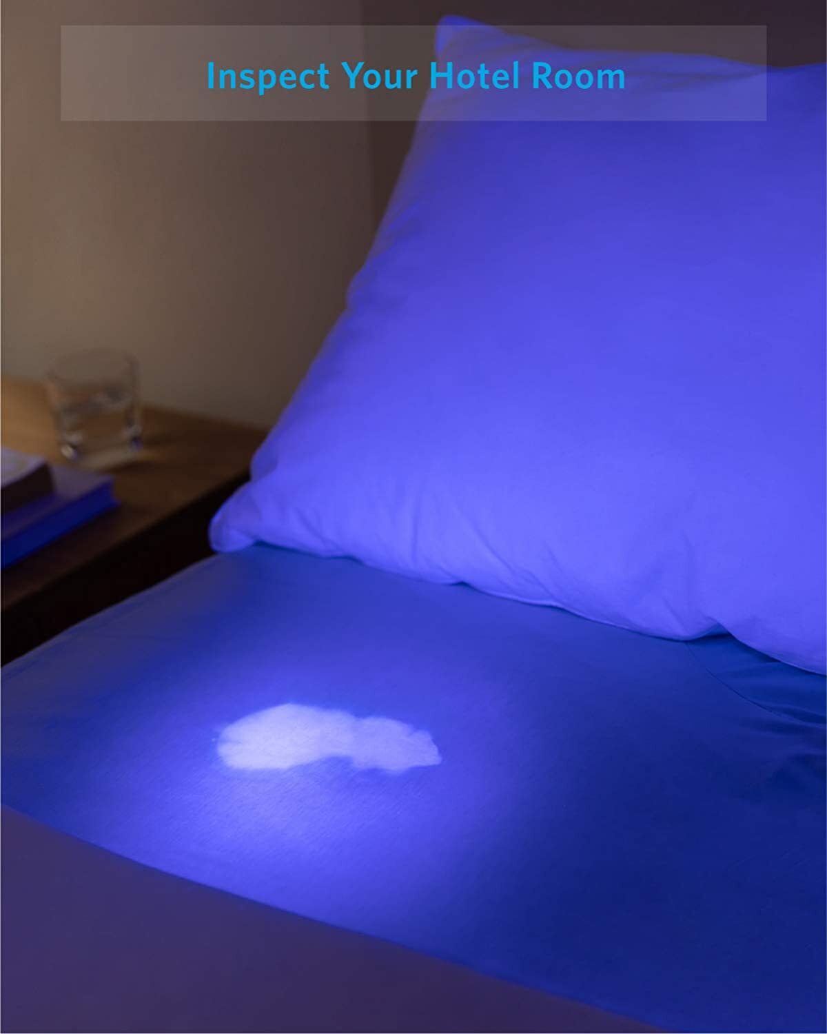 2x UV Ultra Violet LED Flashlight Blacklight Light 395 NM Inspection Lamp Torch