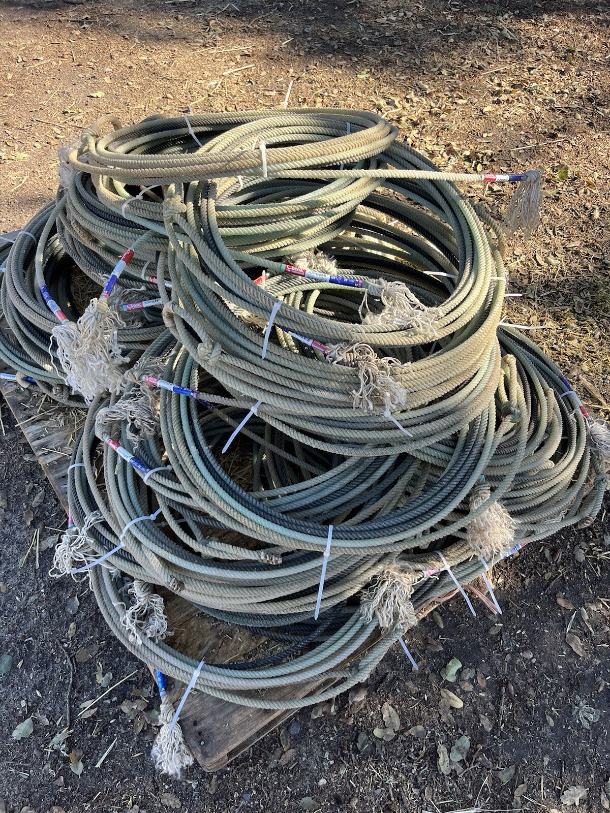 Used Cowboy Lariat Team Rope