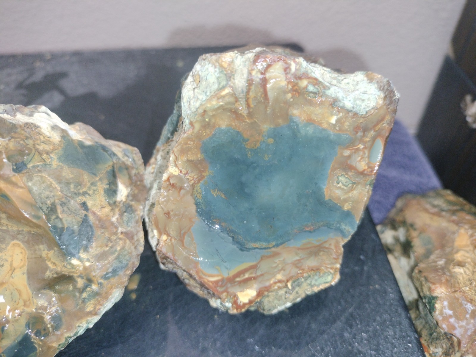 8.7LB ORBS Blue Mountain Picture Jasper Rough 6pc Lot #27