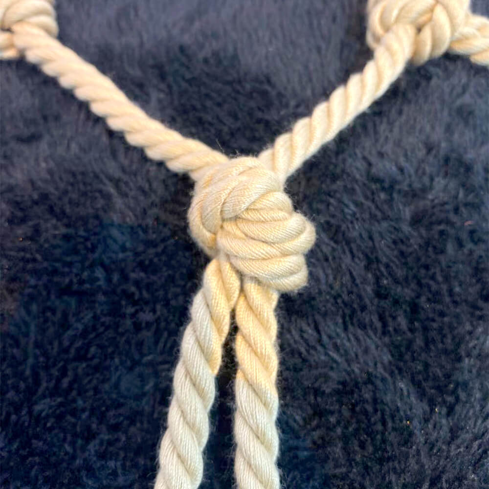 Women's Full Body Harness Bondage Lingerie Micro Bikini Garters Suspenders Belts