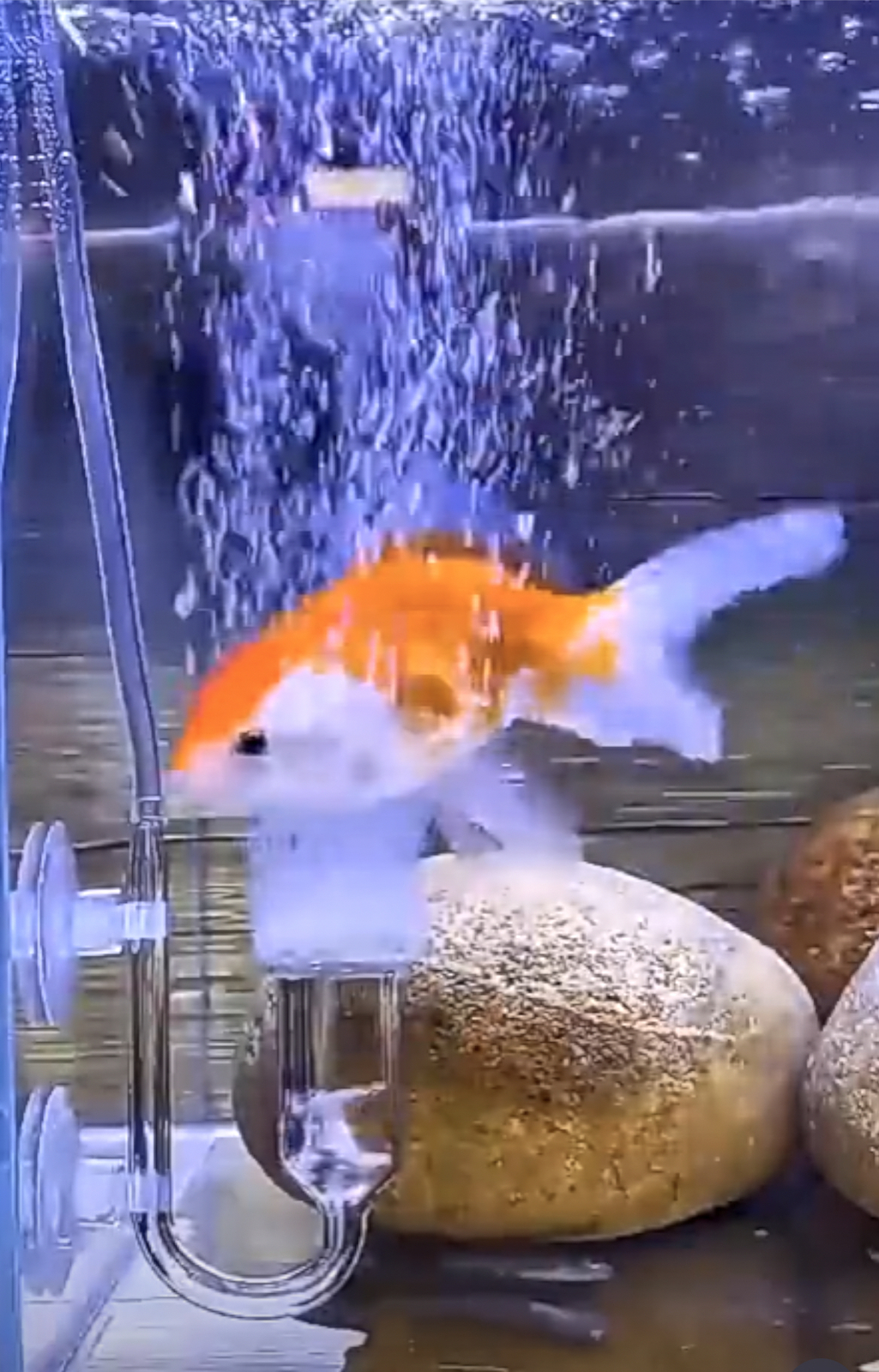 Fish Aquarium Nano Air Bubble Stone Diffuser Atomizer Tube Increase Oxygen