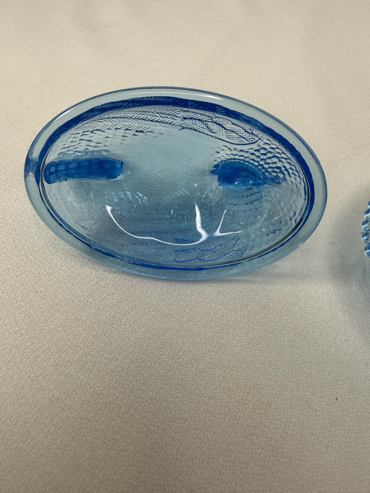 New Production Indiana Style Acrylic Plastic Hen On Nest Chicken Dish (Blue)