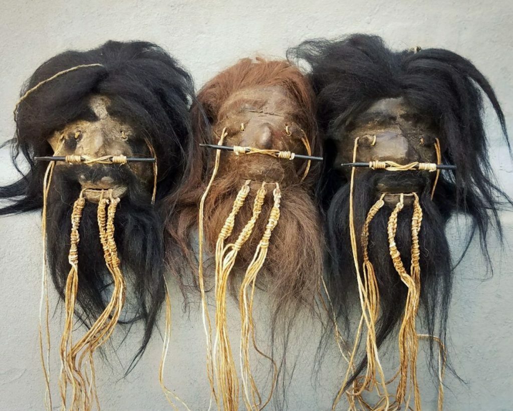 Shrunken Head, Real Leather and Hair, Oddities, Curiosities, Creepy, Lama alpaca