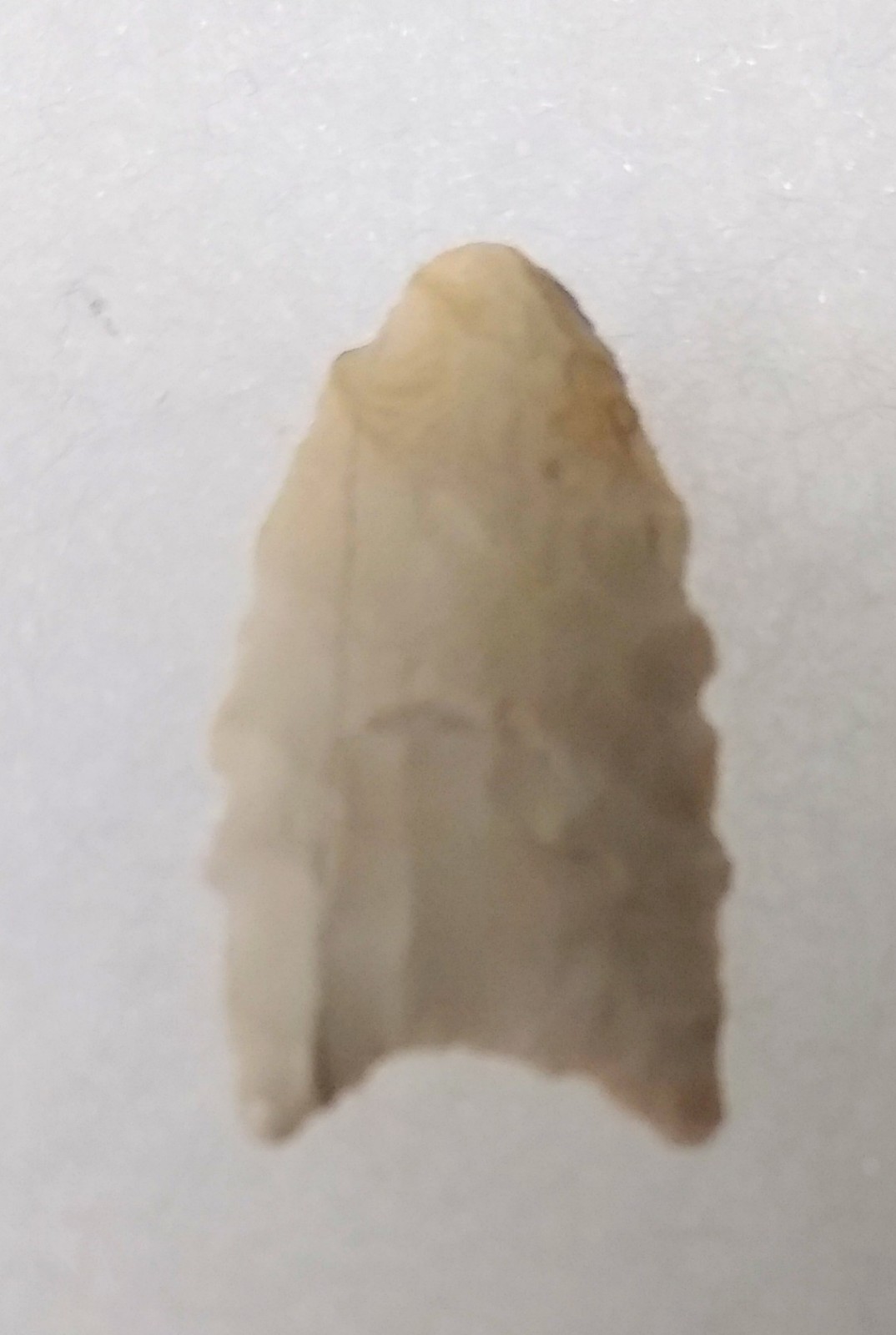 Small Paleo Point California