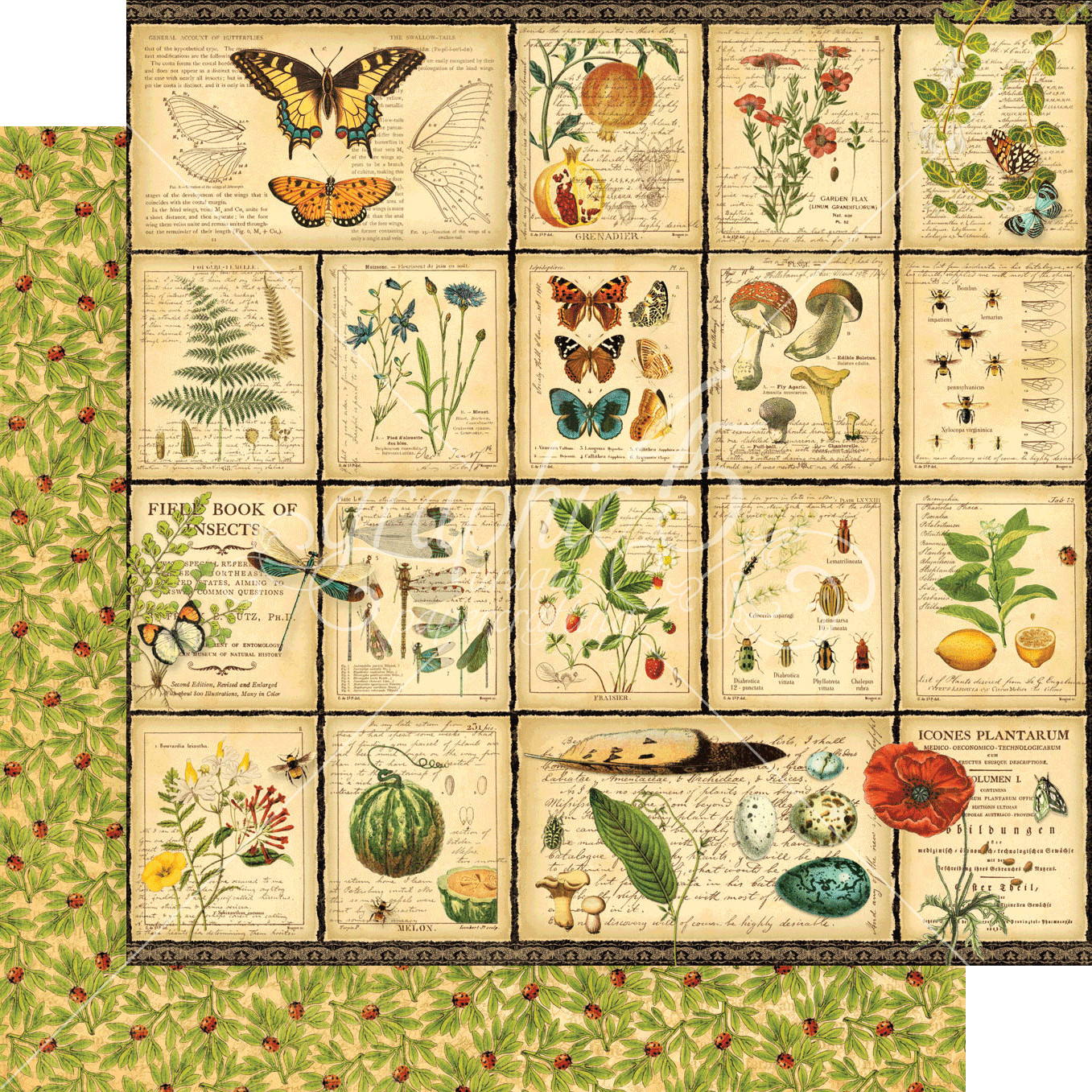 GRAPHIC 45 NATURE NOTEBOOK RETIRED 2020 ~NATURE BOTANICAL BUTTERFLY *SHIPS FREE*