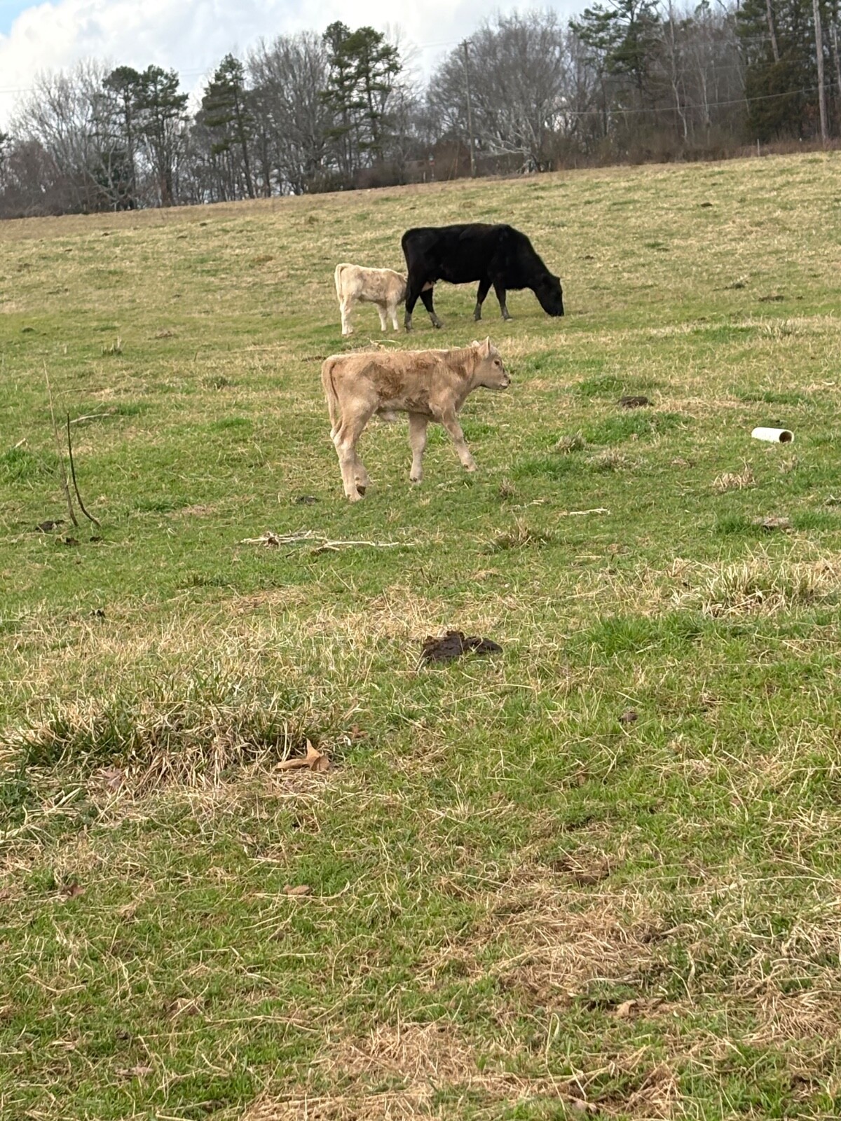 Mystery Farm Treasure – Real Surprise Item From a Small Family Farm!