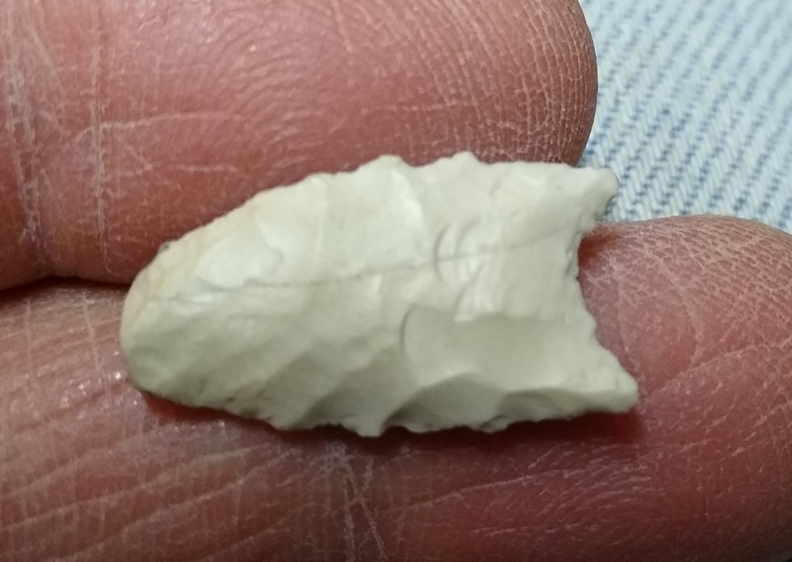 Small Paleo Point California