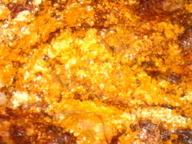 Gold Ore Specimen /Quality Visible Gold