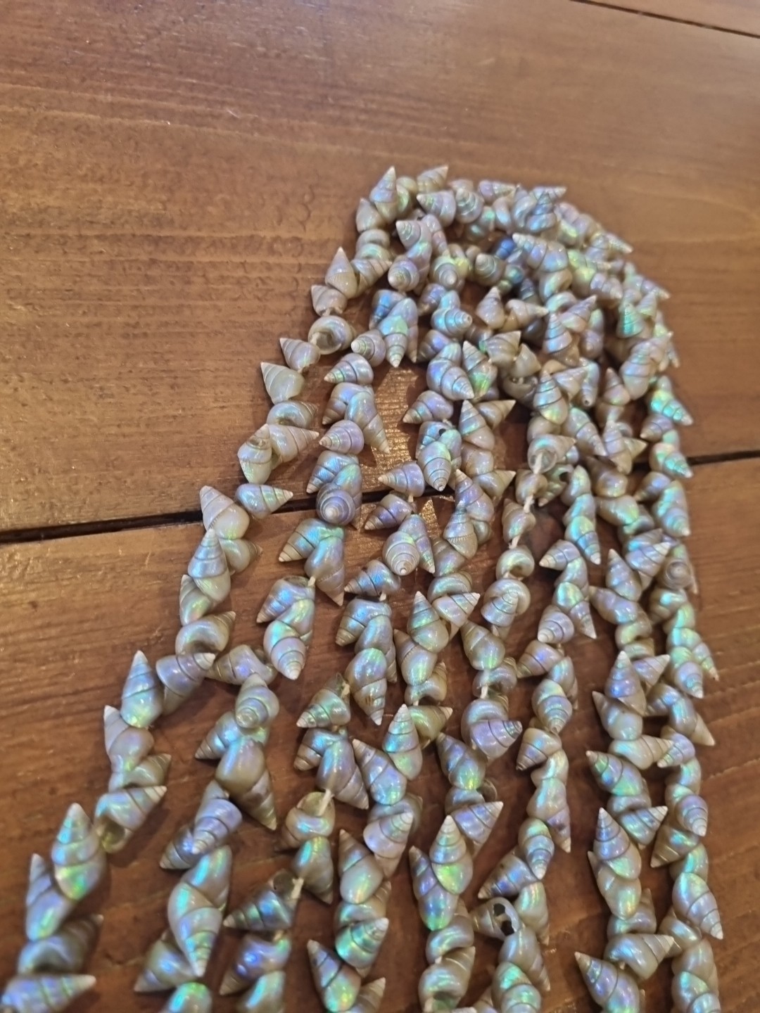 SUPERB VINTAGE TASMANIAN ABORIGINAL MAIREENER SHELL NECKLACE LONG 123cms 1930s