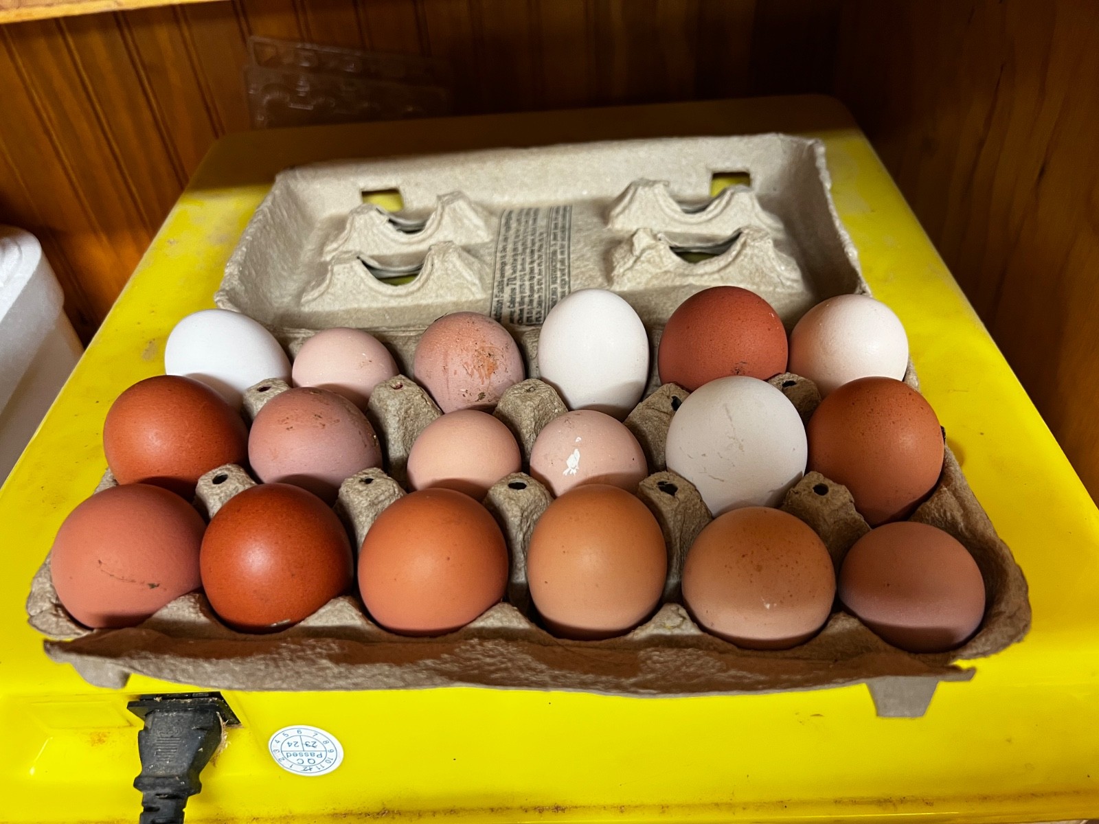 18 barnyard mix hatching eggs