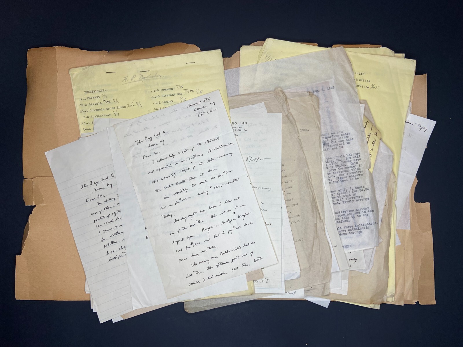 RARE Letter Archive - Traveling Salesman - Page Seed Co Greene, NY 1925 NY, PA,