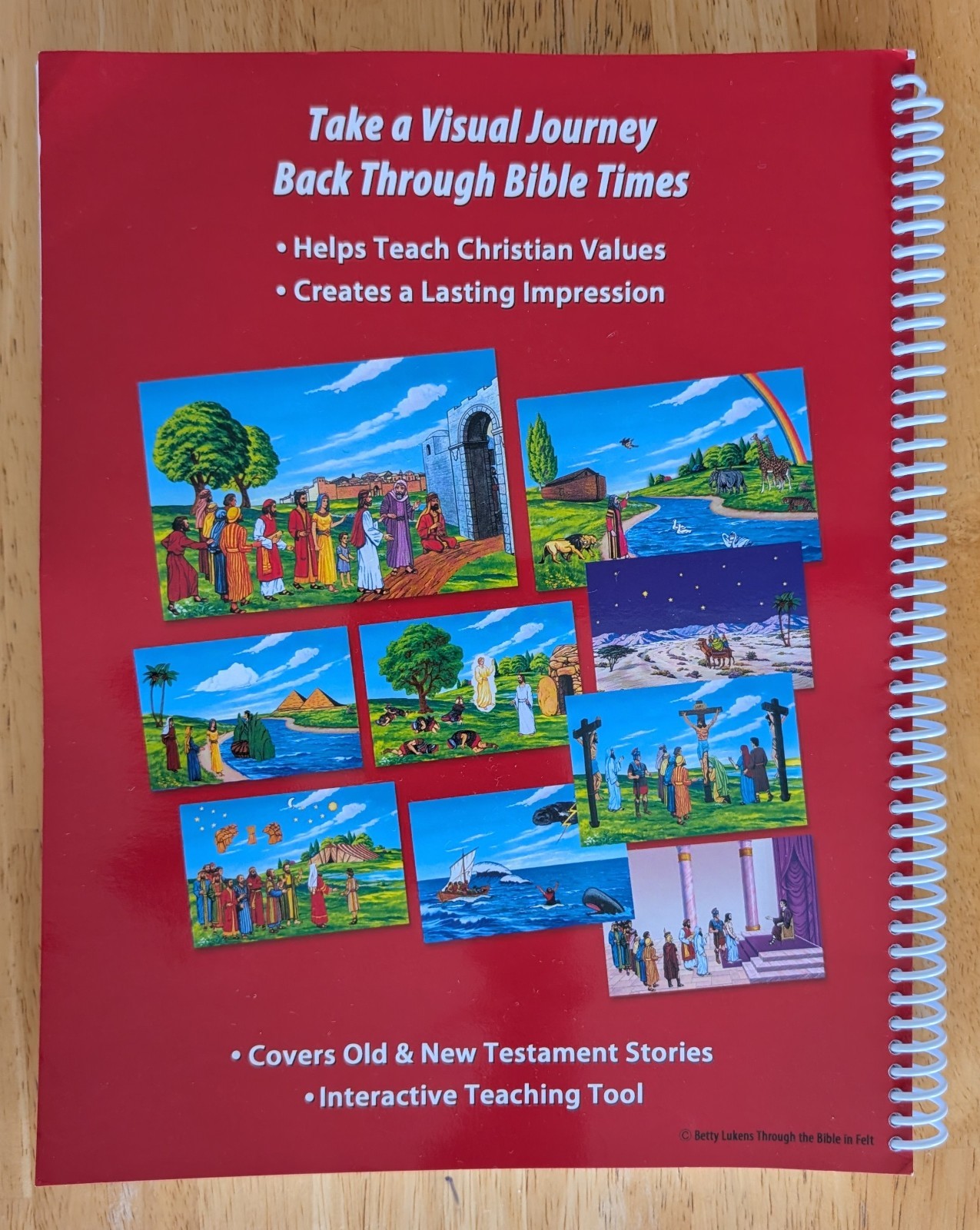 Betty Lukens Through the Bible in Felt Teacher's Manual and Felt Board Set 1992