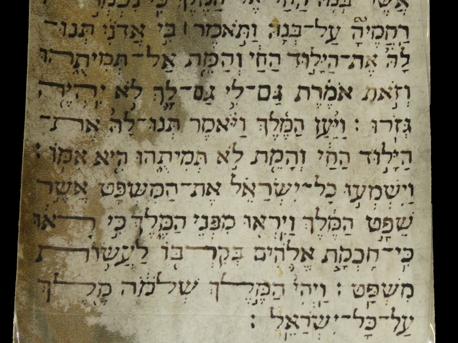 ANCIENT BIBLE SCROLL MANUSCRIPT FRAGMENT ON PARCHMENT I Kings Italy 19th.