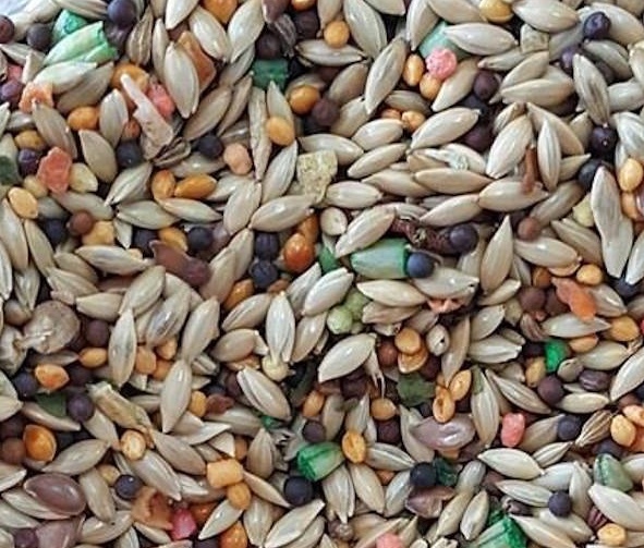 Canary Food Roller Cuisine Mix w/ Fruits, Vegetables & Vitamins **Choose size**