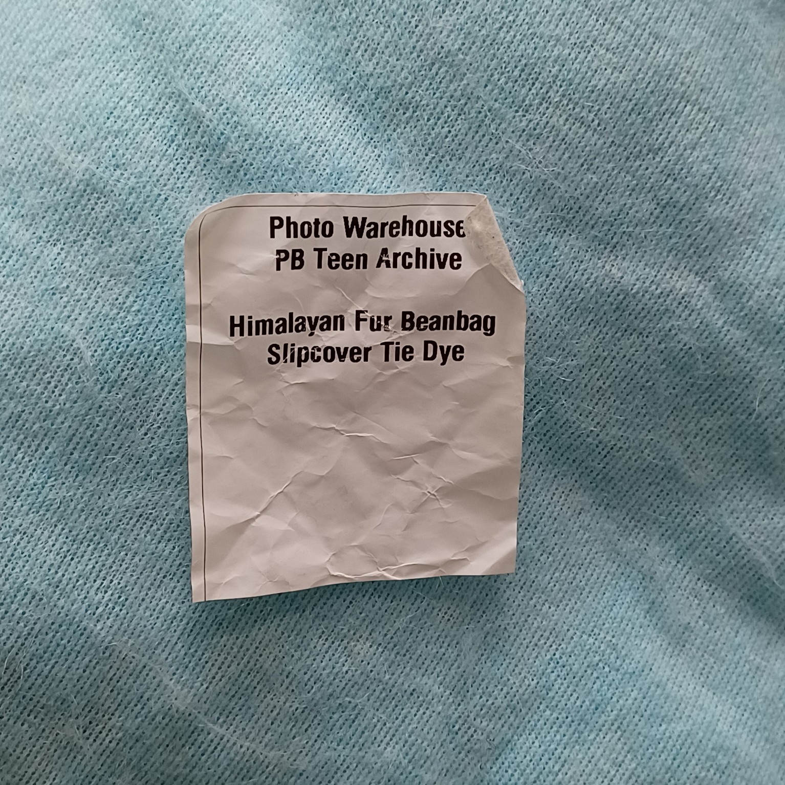 Pottery Barn Teen Snowcone Himalayan Faux Fur Bean Bag Cover Marketing Sample