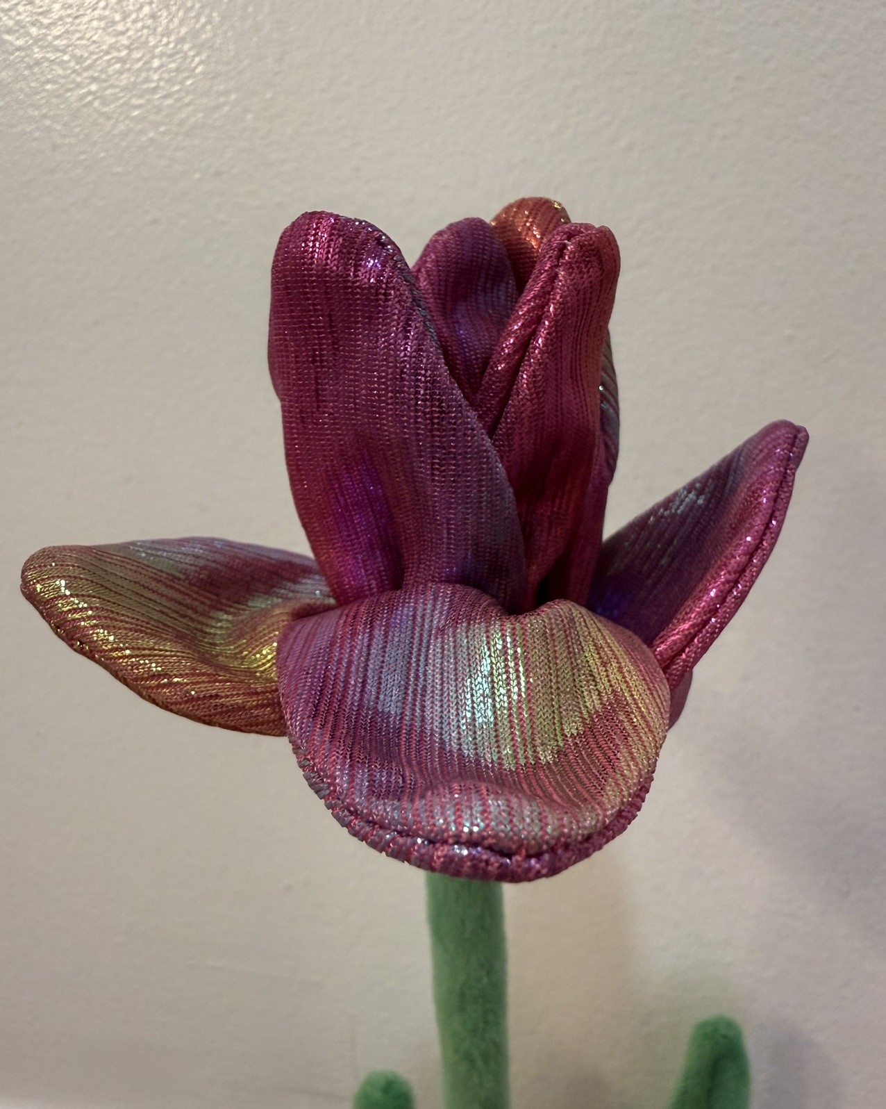 CJ Hendry Flower Shop - Limited Edition Flower of the Day - Iridescent Tulip