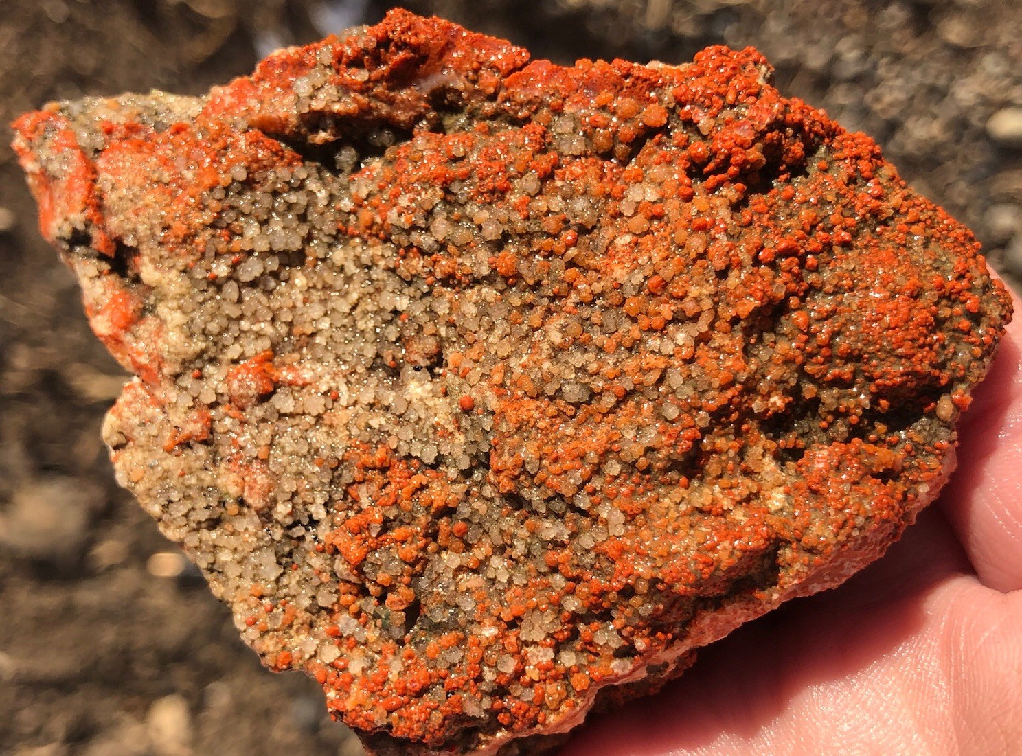 Utah Grape Agate 155g Rough Specimen Red Botryoidal Chalcedony Clear White