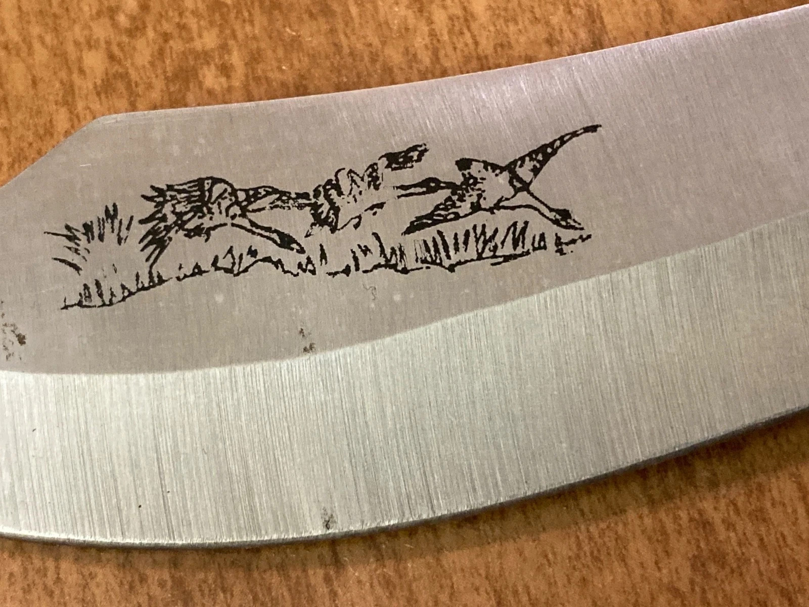 Vintage Fixed Blade Knife Lot Large Hunting Survival Display 1 w/Box Sheath