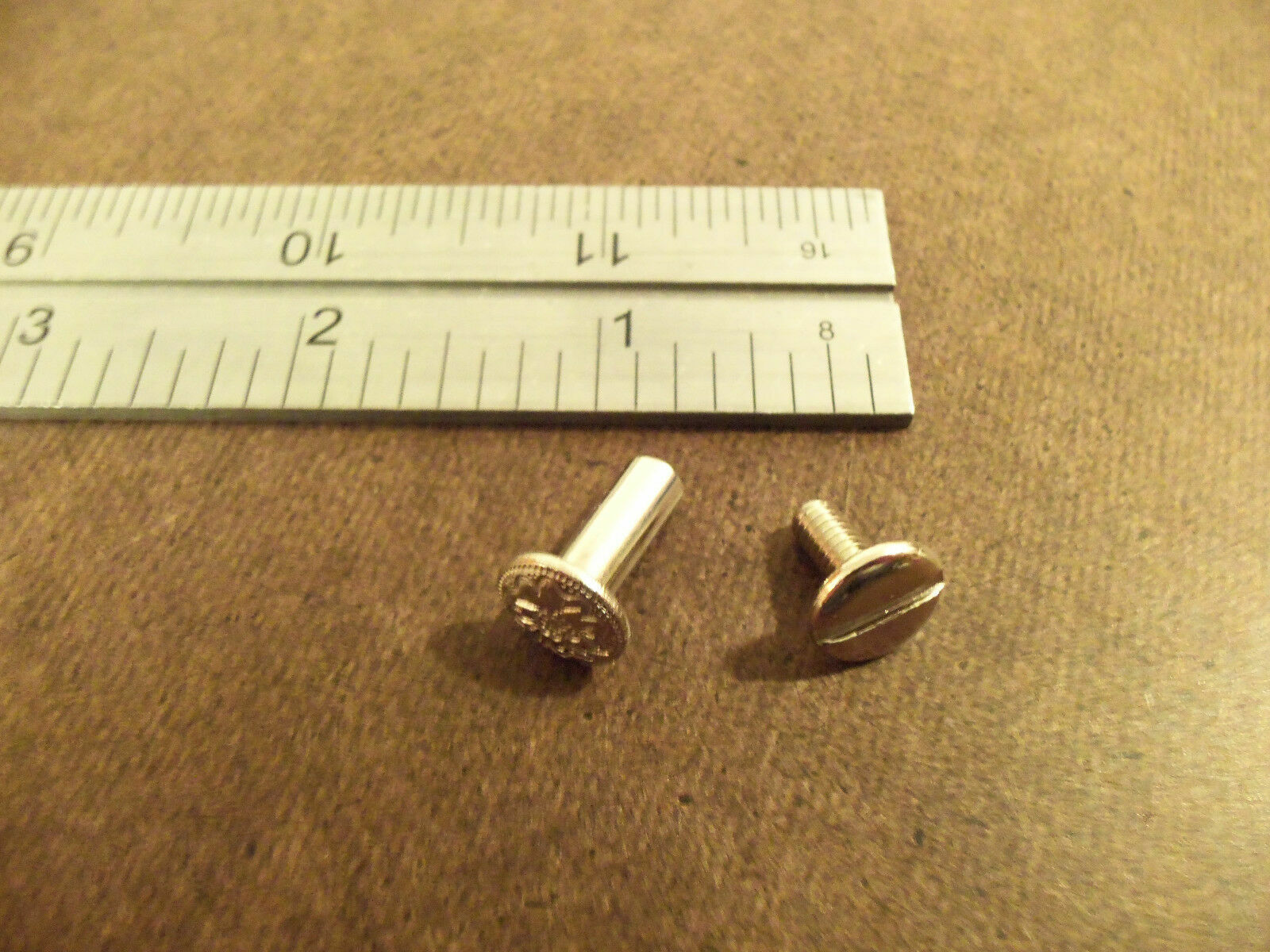 1/2" Nickel Solid Brass Floral Head Chicago Screws (25 pack)