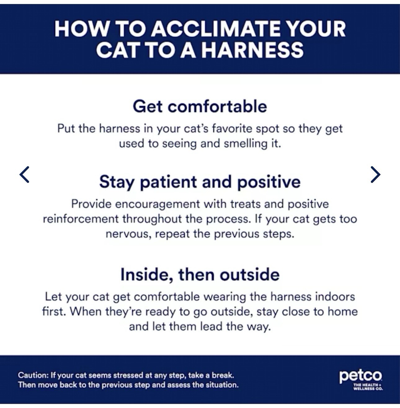 YOULY Reflective Utility Cat Harness & Leash Set, Purple & Pink, Small/Medium