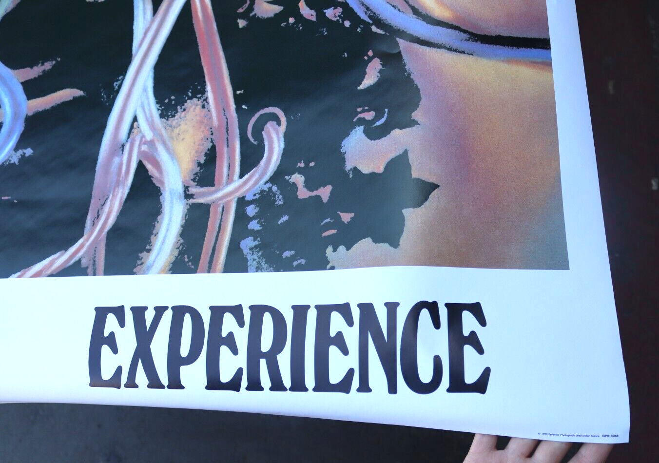 1999 PYRAMID JIMI HENDRIX EXPERIENCE WIRE HAIR MEDUSA CONCERT POSTER ART 53x37"