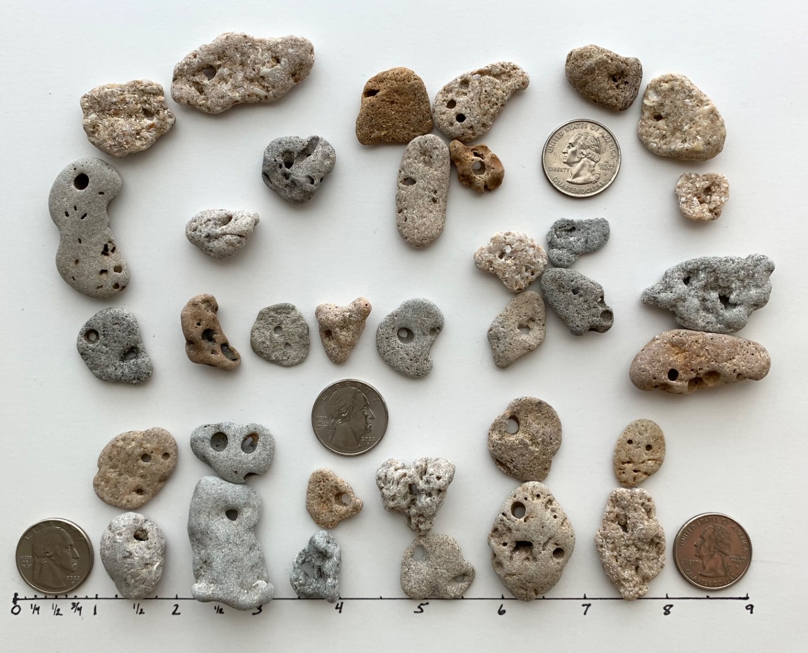 35 Adder Holey Beach Rocks Hag Stones Fairy Lucky Wish Magic Natural 1" #B1 US❤️