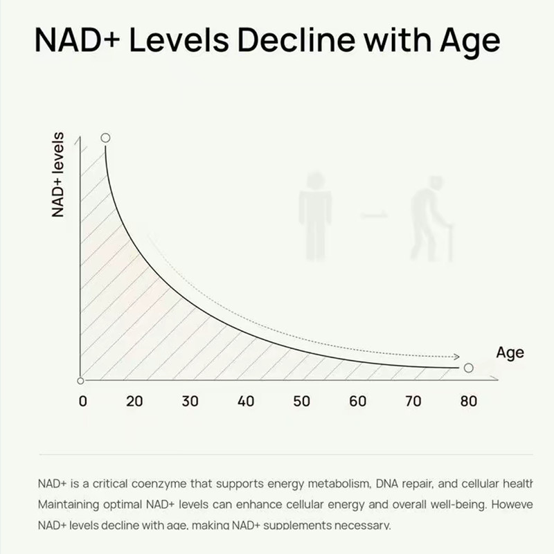 Selerb NAD+ Supplement for Men-With Liposomal-NAD+,CoQ10, L-Carnitine, L-Arginin