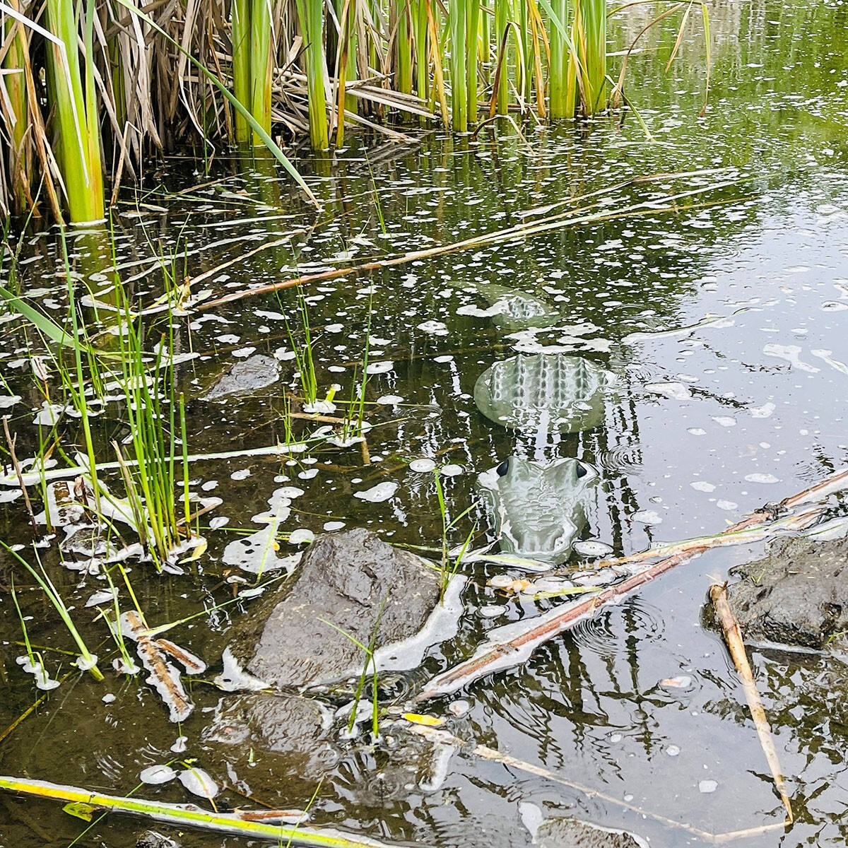 AUTUMN 3 Pieces Crocodile Alligator Garden Decor Mold, CrocConcrete Cement Mold