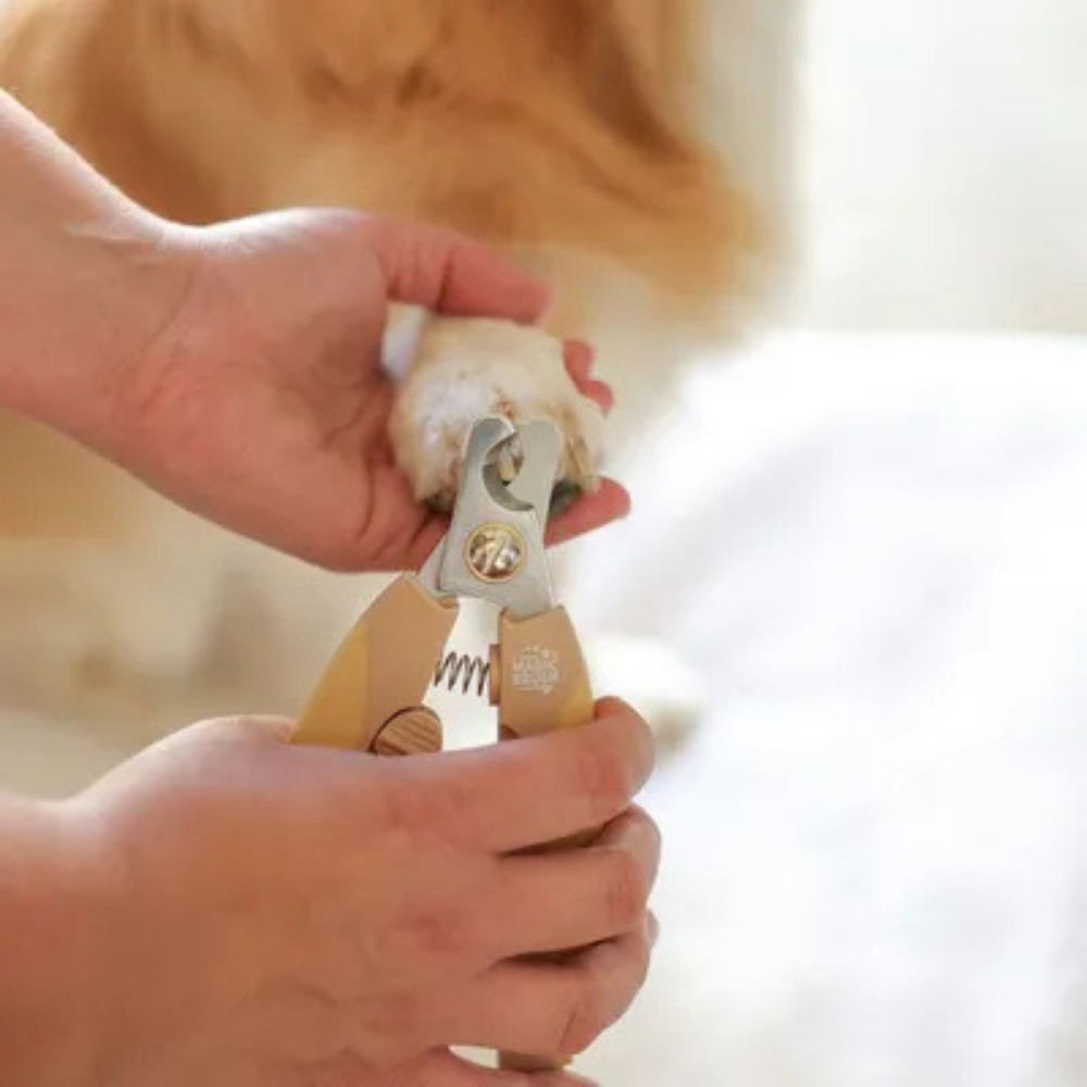 Magic Brush Dog Nail Clippers – Stainless Steel Grooming Tool with Safety Guard