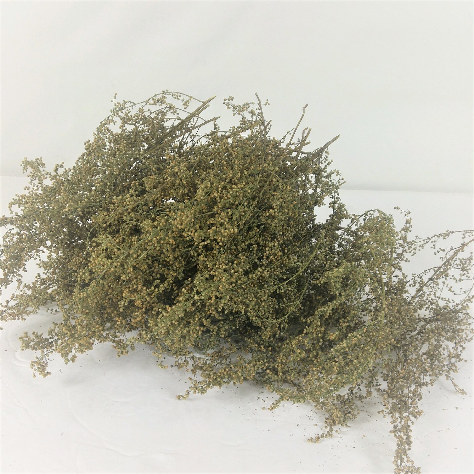 Sweet Annie Dried Shorts Non GMO Box Full 2025 Crop RJPE **3DAY SHIPPING**