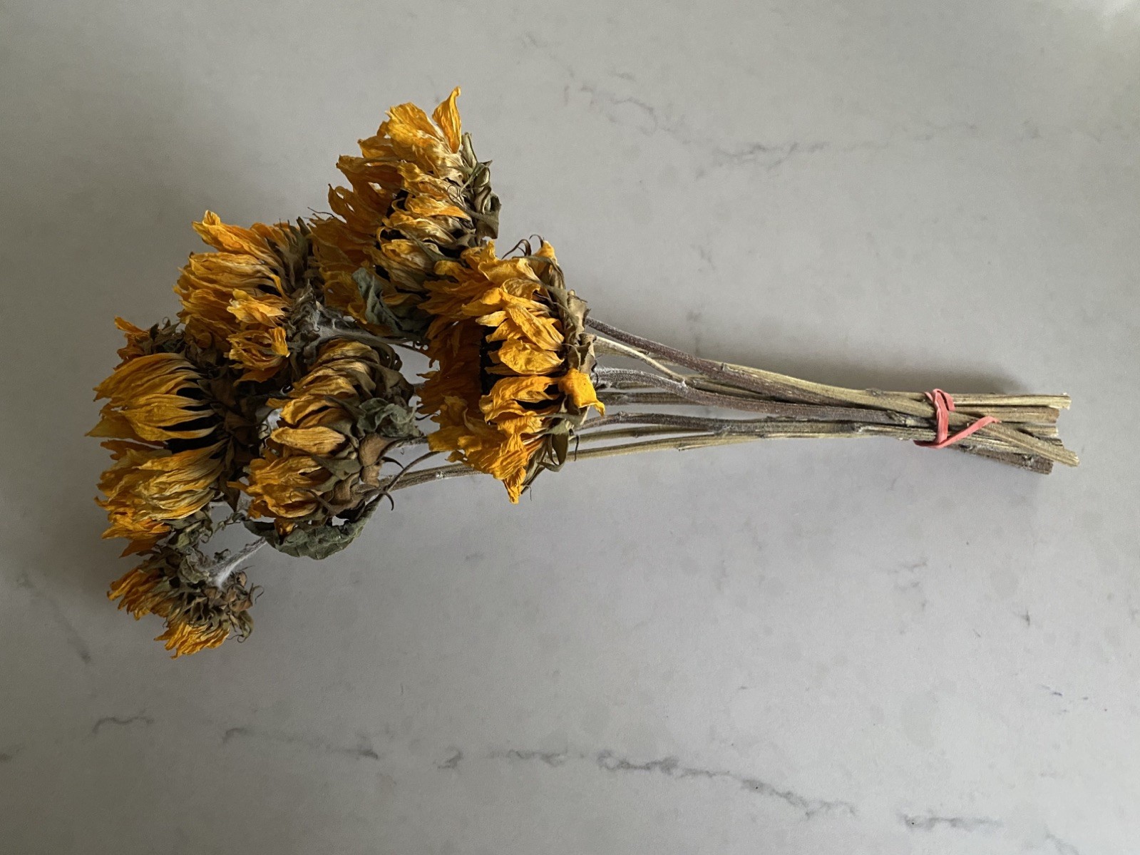 SUNFLOWERS Orange DRIED FLOWER Bunch BOUQUET Bundle USA Grown SUN FLOWERS Auc#1