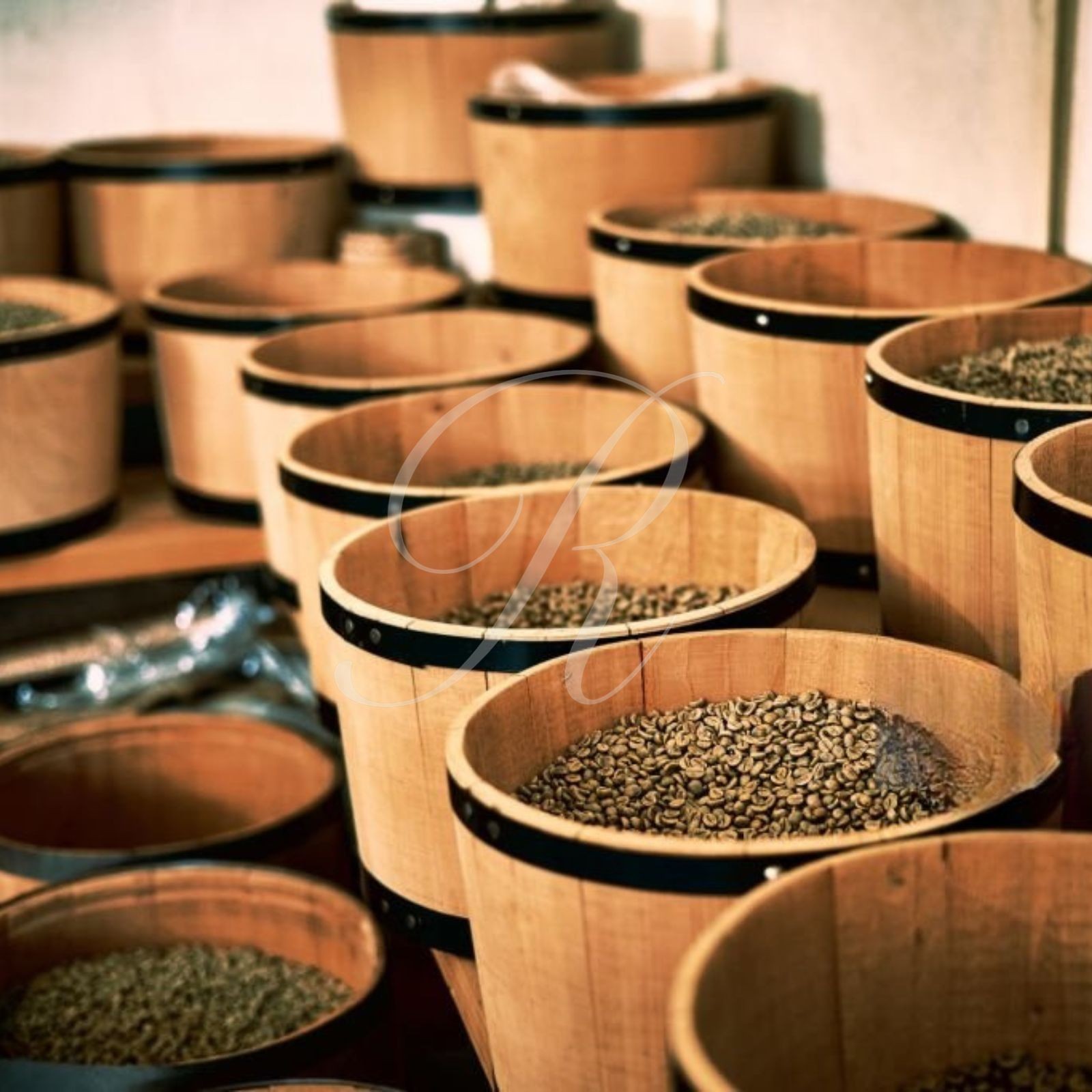 100% JAMAICA BLUE MOUNTAIN COFFEE | CUSTOM ROASTED | 1 - 20 POUNDS IN 1 LB BAGS