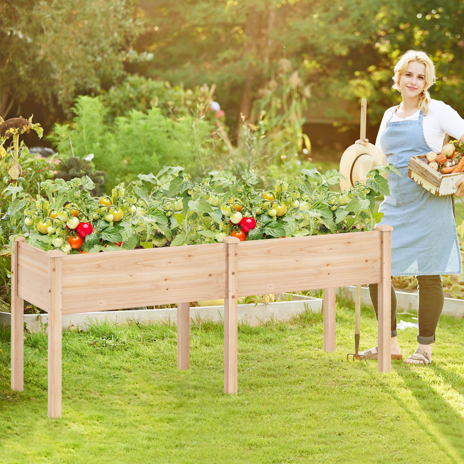 Raised Garden Bed Elevated Fir Wood Planter Box w/ 2 Large Planting Areas