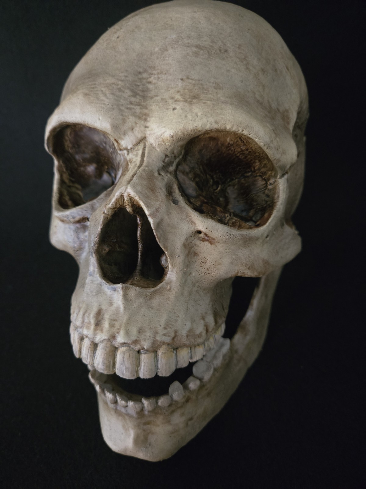 Skull Human With Jaw "Large Life Size" Realistic Replica