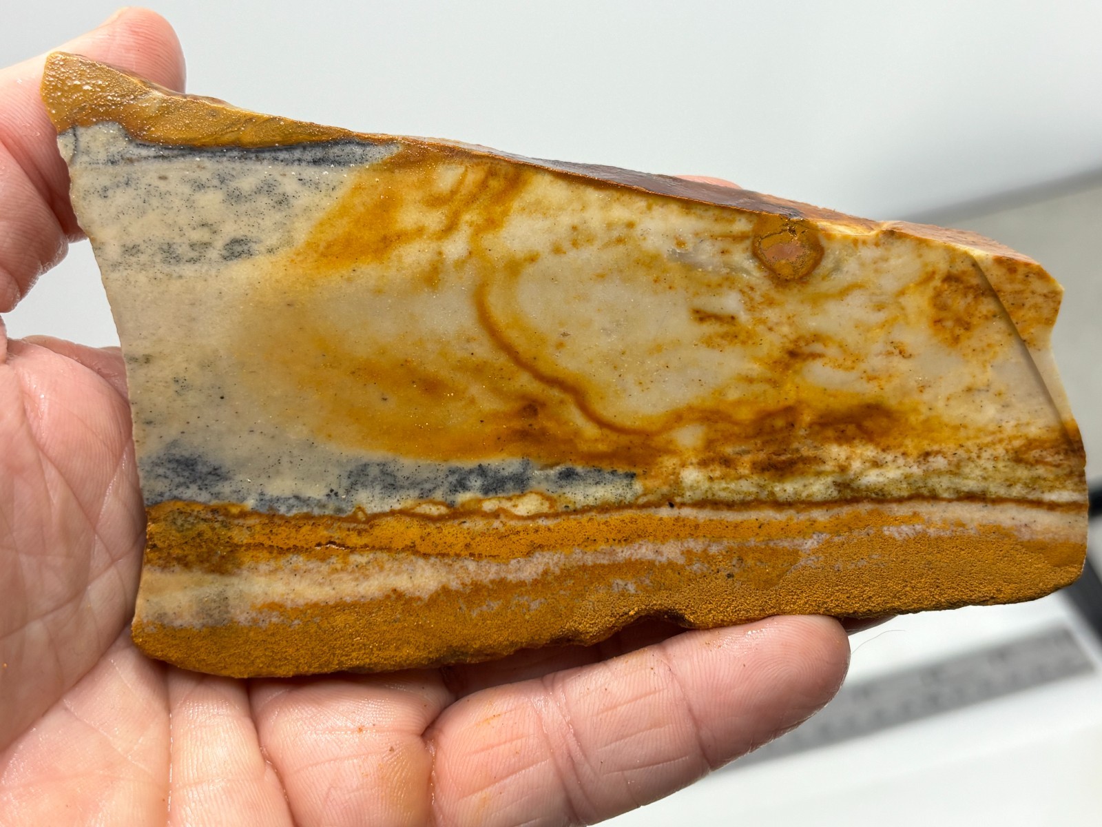 Disaster Peak Picture Jasper Slab Cabbing Lapidary Collecting Combo Ship Avail