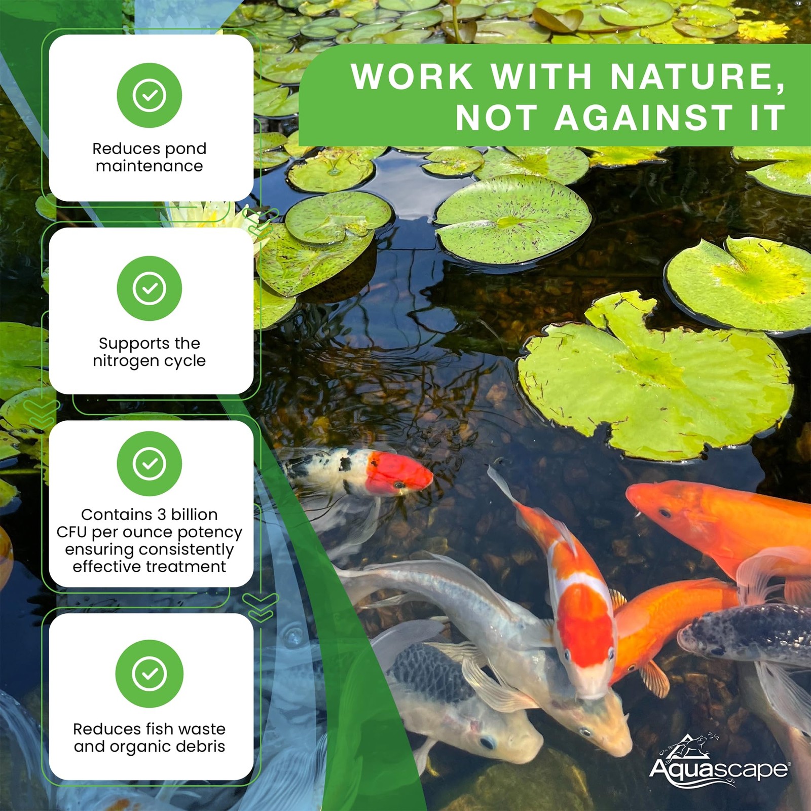 Aquascape Dry Beneficial Bacteria for Pond and Water Features, 4.4-Ounce | 98925