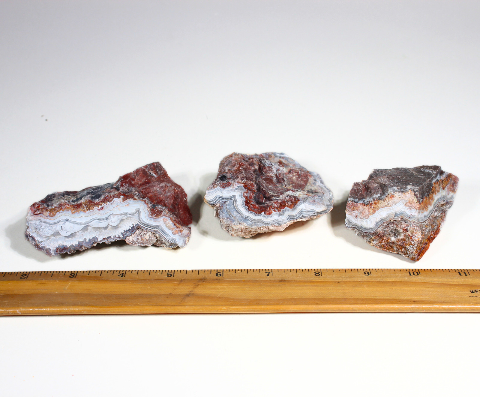 Mexican Lace Agate - Rough Rocks for Tumbling from Mexico - Bulk Wholesale