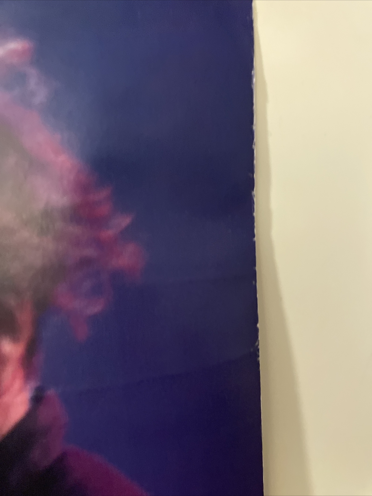 NEIL YOUNG "WELD" U.S. PROMO POSTER 23 X 35 Classic Guitar Rock Music Legend