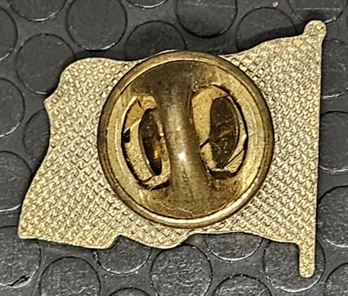 2 Patriotic USA Pins - American Flag Pin And Hawk/Eagle Pin