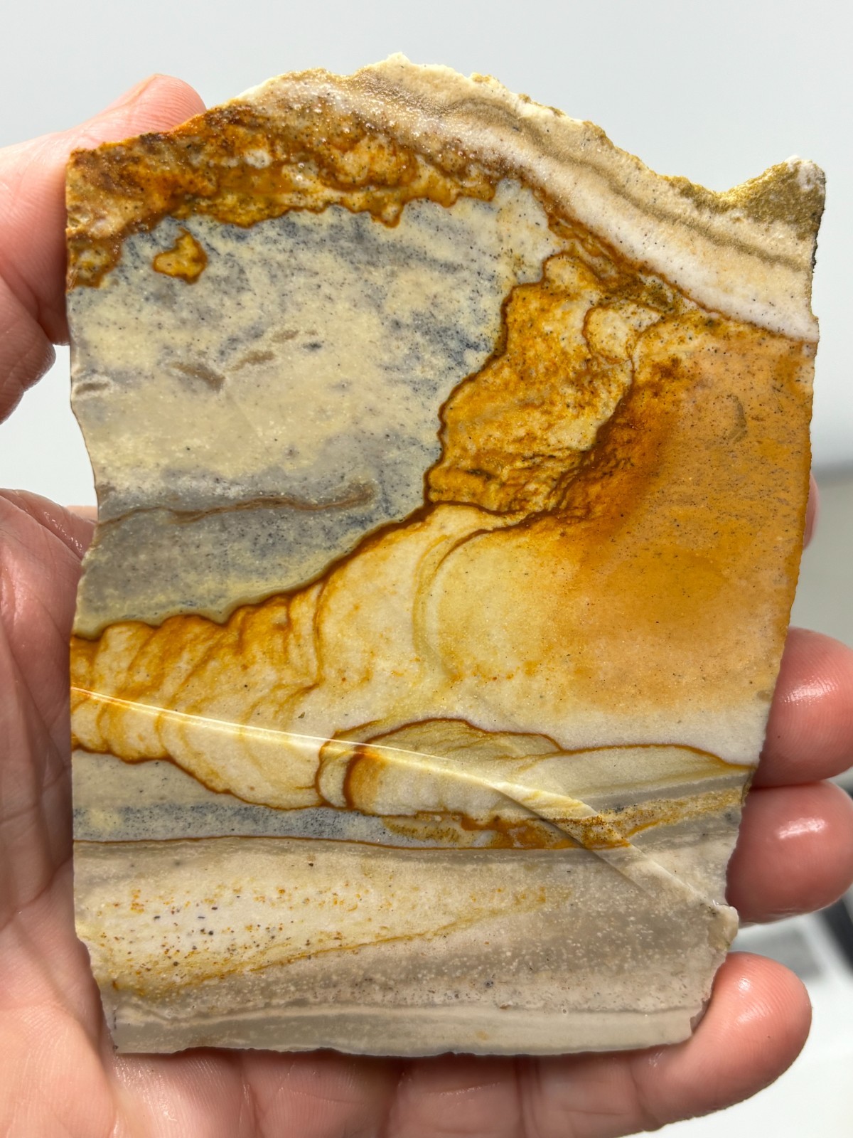 Disaster Peak Picture Jasper end slab Cabbing Lapidary Collecting Combo Ship Avl