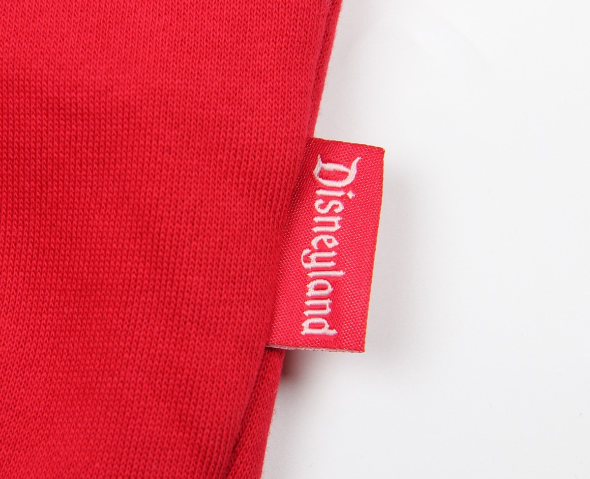 Disney Disneyland Resort Embroidered Castle Pullover Sweatshirt