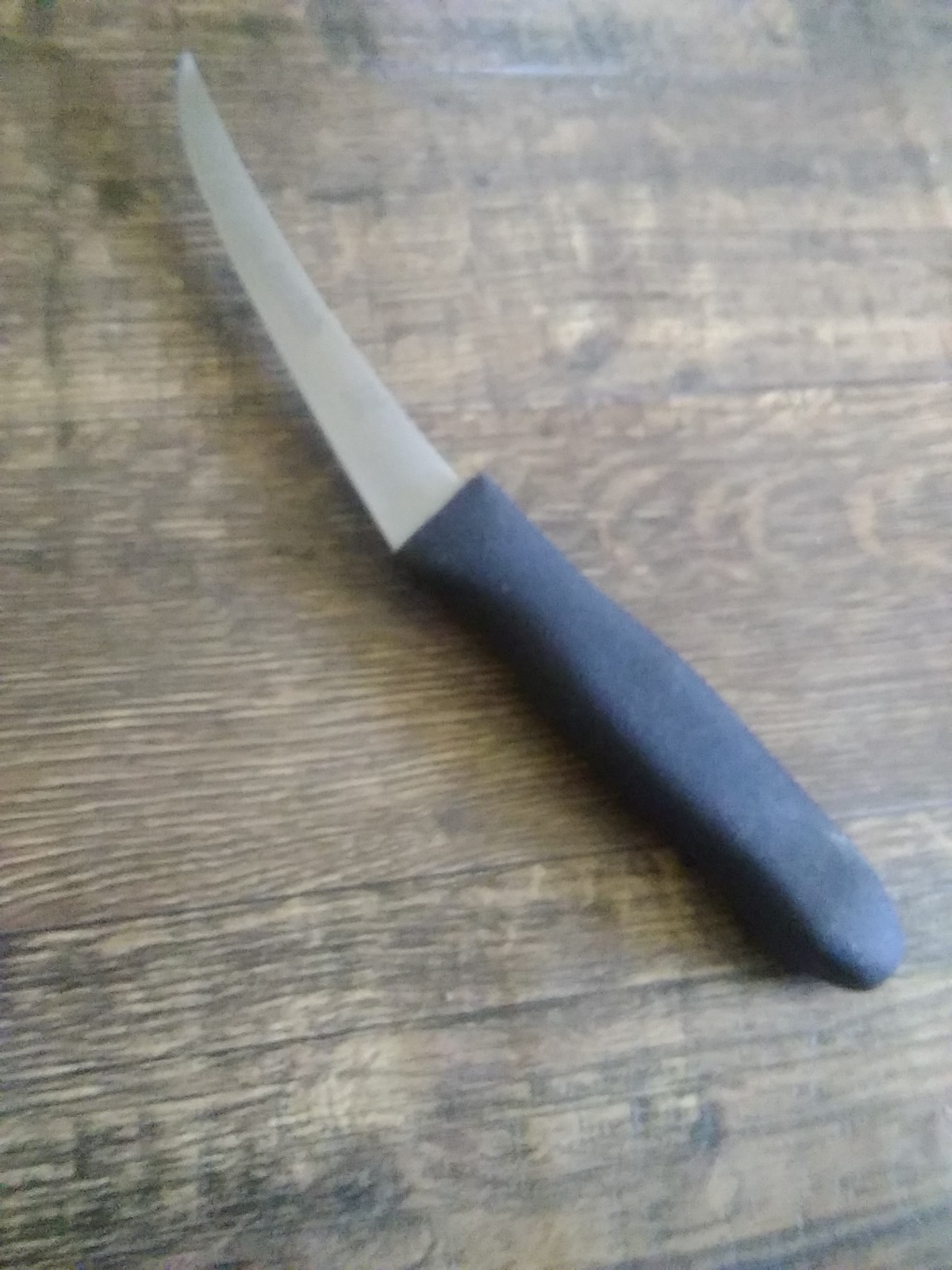 Dexter Russell Sani-Safe Boning Fillet Knife, boning St131-6